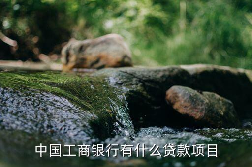 中國工商銀行有什么貸款項目