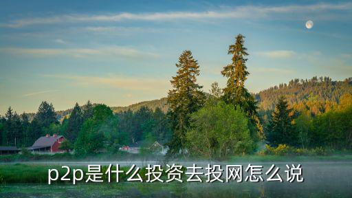 p2p平臺(tái)投資是什么意思，P2P投資是怎么回事