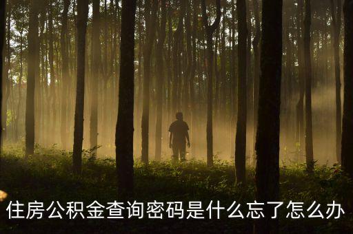 住房公積金查詢密碼是什么忘了怎么辦