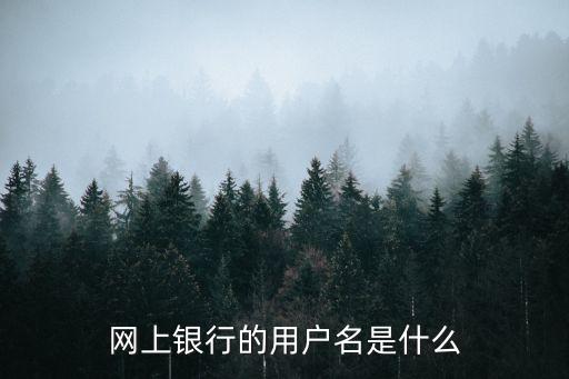 網(wǎng)上銀行的用戶(hù)名是什么