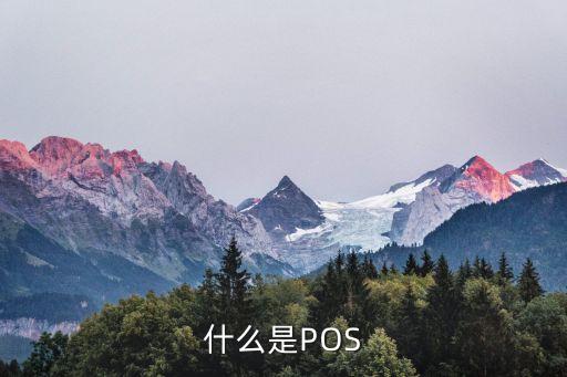 pos卡是什么意思，POS卡什么意思