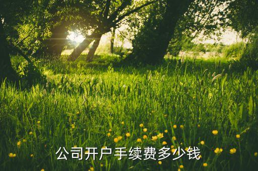銀行開公戶什么費用，建設(shè)銀行開對公戶需要多少錢 交通銀行開戶