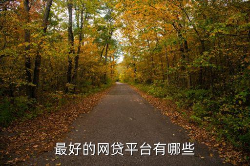 有什么好點(diǎn)的網(wǎng)貸，國內(nèi)有哪些比較好的網(wǎng)貸平臺(tái)了
