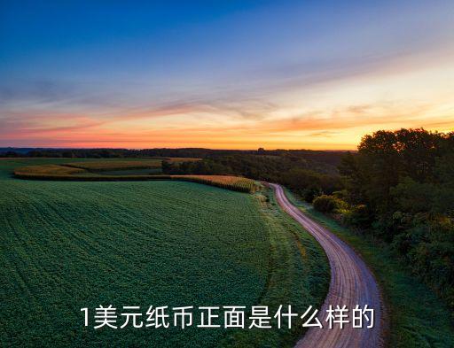 1美元紙幣正面是什么樣的