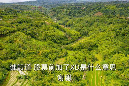 股票前面xd是什么意思，股票XD是什么意思的