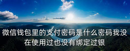 微信里支付密碼是什么密碼，微支付的支付密碼是什么