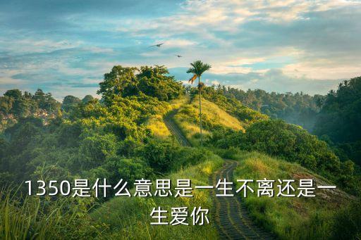 紅包1350是什么意思，紅包1315是啥意思