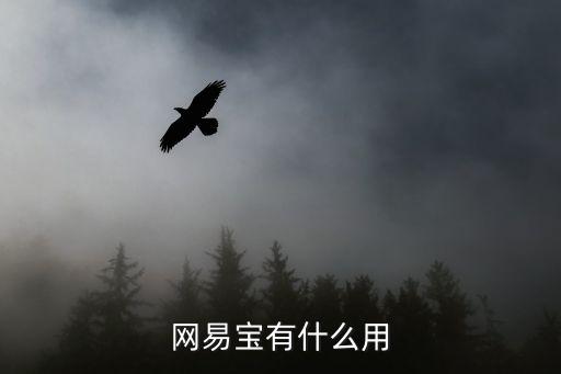 網(wǎng)易寶有什么用