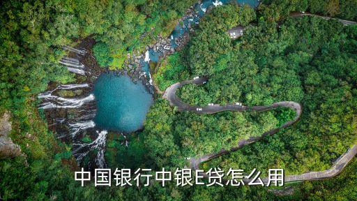 中國銀行e貸是什么意思，中銀e貸怎么樣