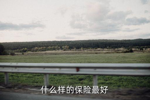 什么樣的保險(xiǎn)最好