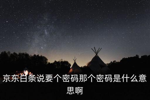 京東白條輸入動態(tài)密碼是什么意思，京東白條說要個密碼那個密碼是什么意思啊