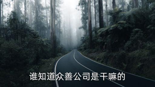誰知道眾善公司是干嘛的