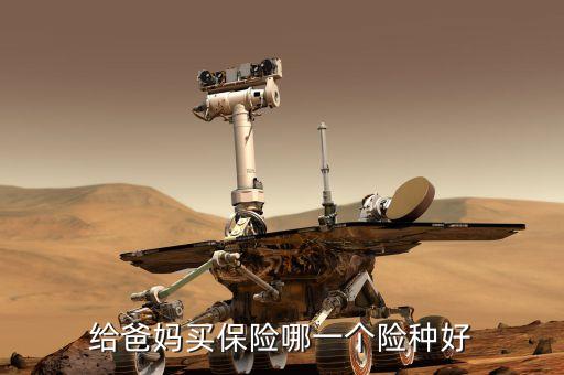 給爸媽買(mǎi)保險(xiǎn)哪一個(gè)險(xiǎn)種好