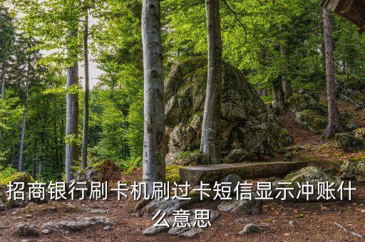 網(wǎng)銀沖賬是什么意思，銀行卡的錢無(wú)故沒(méi)有了客服說(shuō)沖賬是什么意思