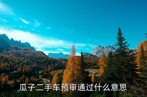 預審批額度什么意思，瓜子二手車預審通過什么意思