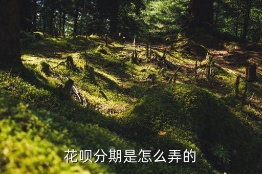 花唄分期是怎么弄的