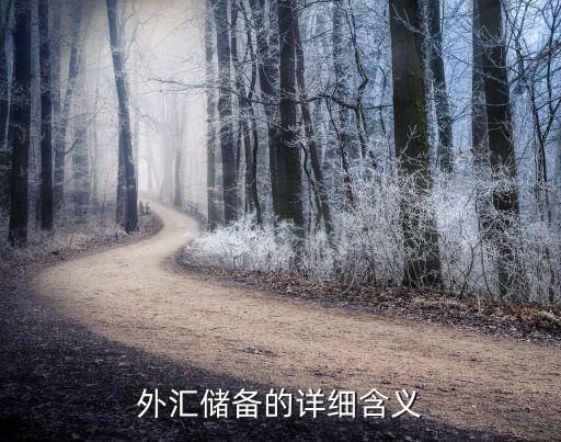 外匯儲(chǔ)備的詳細(xì)含義