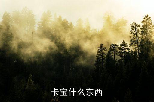 卡息寶是什么東西，卡寶什么東西