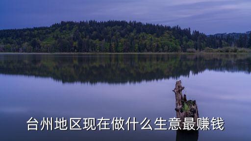 臺州投資什么，在臺州做什么小生意好搞的啊