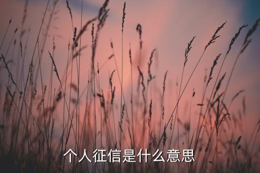 個(gè)人征信是什么意思