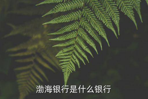 為什么來渤海銀行，格爾木為什么有雪山海洋生物化石
