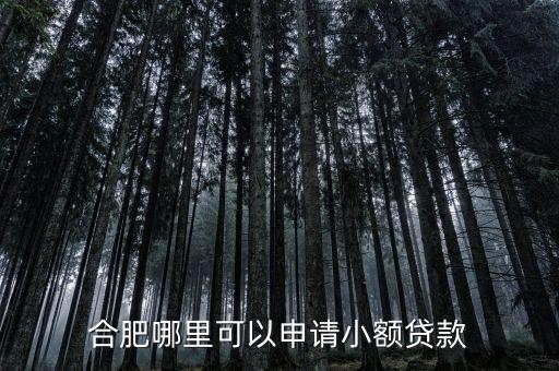 安徽有什么小貸，合肥哪里可以申請小額貸款