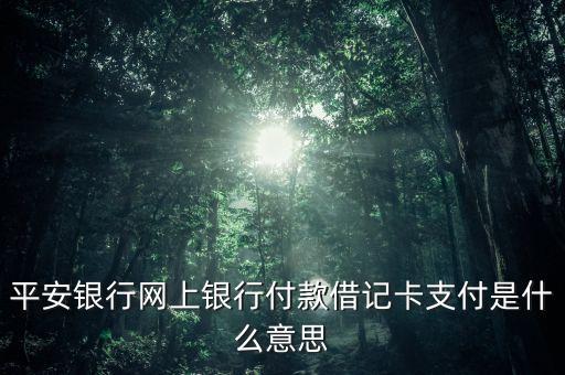 平安銀行網(wǎng)上銀行付款借記卡支付是什么意思