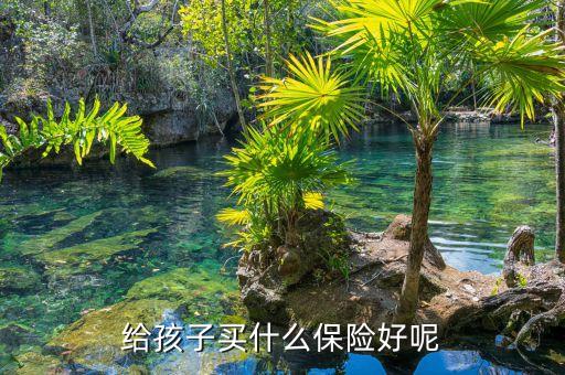 都給寶寶買什么保險好，請問給寶寶買什么保險好