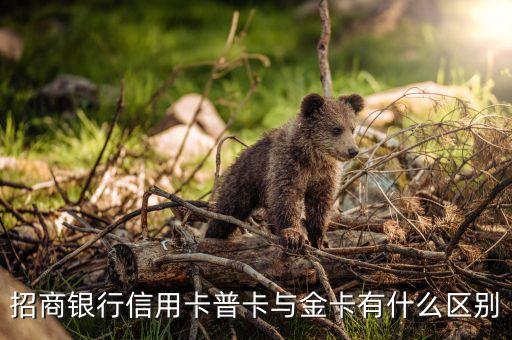 招商銀行信用卡普卡與金卡有什么區(qū)別