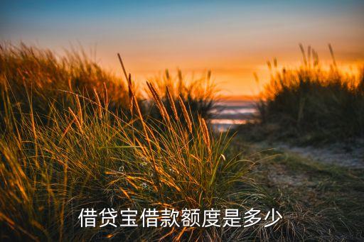 借貸寶借款額度是多少