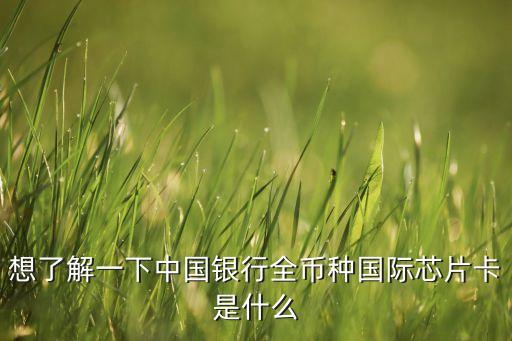 什么是有芯片的銀行卡，工行 ic卡是什么