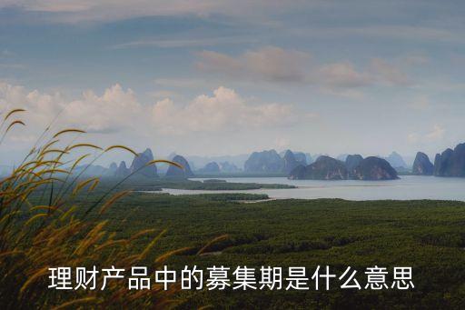 理財產(chǎn)品中的募集期是什么意思