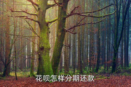 花唄怎樣分期還款