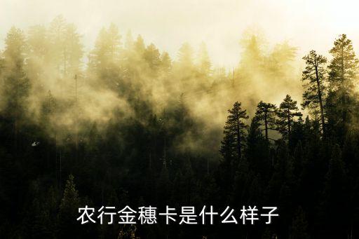 農(nóng)行金穗卡是什么樣子