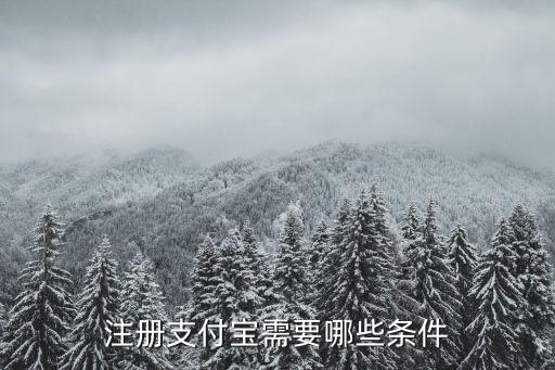 辦支付寶要什么條件，開通支付寶需要些什么條件
