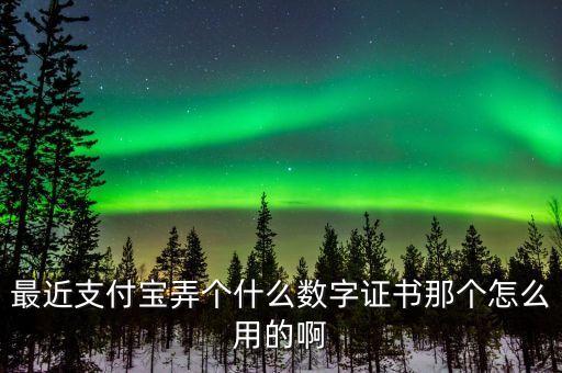 最近支付寶弄個什么數(shù)字證書那個怎么用的啊