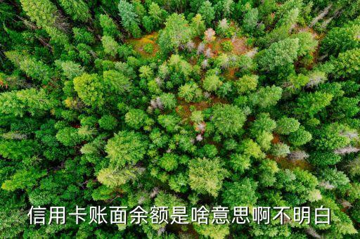 信用卡賬面余額是啥意思啊不明白