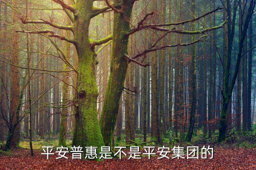 平安貸貸卡是什么公司，平安普惠是不是平安集團(tuán)的