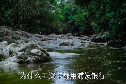 浦發(fā)薪資卡是什么意思，薪金卡到底是儲(chǔ)蓄卡還是信用卡