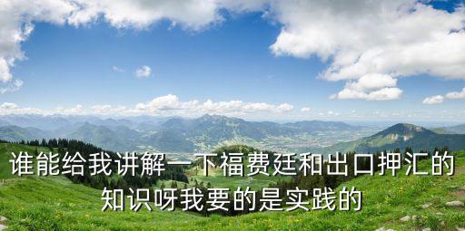 誰能給我講解一下福費(fèi)廷和出口押匯的知識(shí)呀我要的是實(shí)踐的