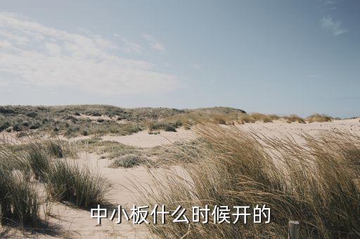 中小板什么時候開的