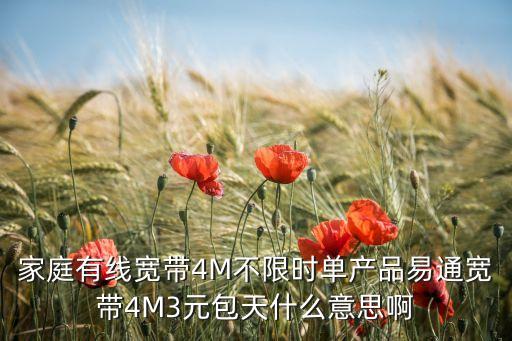家庭有線寬帶4M不限時單產(chǎn)品易通寬帶4M3元包天什么意思啊
