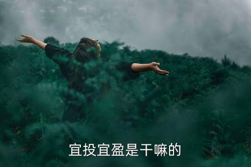 宜投宜盈是干嘛的