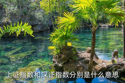 上證指數(shù)和深證指數(shù)分別是什么意思