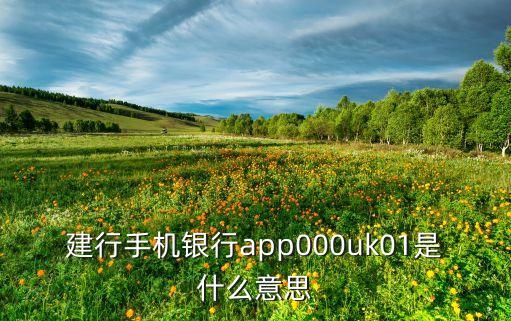 建行app銀行卡賬號是什么樣的，銀行卡號長什么樣