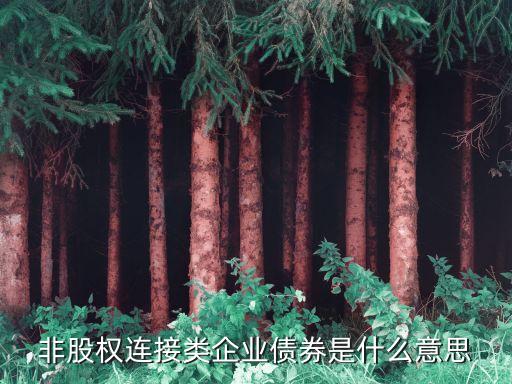 企業(yè)債是什么，公司股票和公司債券的區(qū)別是什么