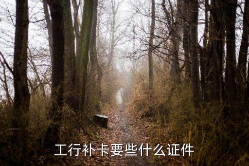 工行補(bǔ)卡要些什么證件