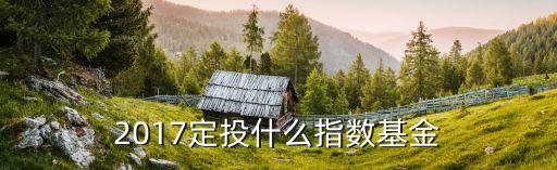 2017買什么類型基金，2017年五大類基金怎么買