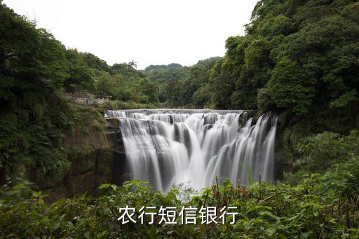 農(nóng)行短信銀行什么意思，短信銀行賬戶什么意思