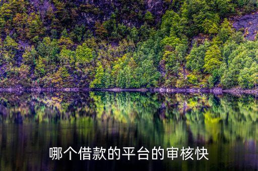 哪個(gè)借款的平臺(tái)的審核快